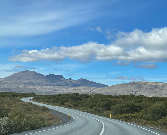 Paesaggio in Islanda. Una strada che si snoda tra i cespugli, sullo sfondo montagne in estate.